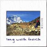 Click here to see an enlargement.