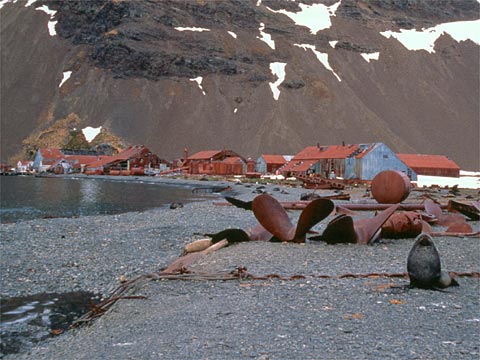 Shackleton's Antarctic Journey