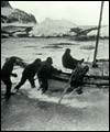 Shackleton